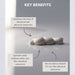 Dr. Louie Protection Cream (Day time use) 60ml. Key benefits list.